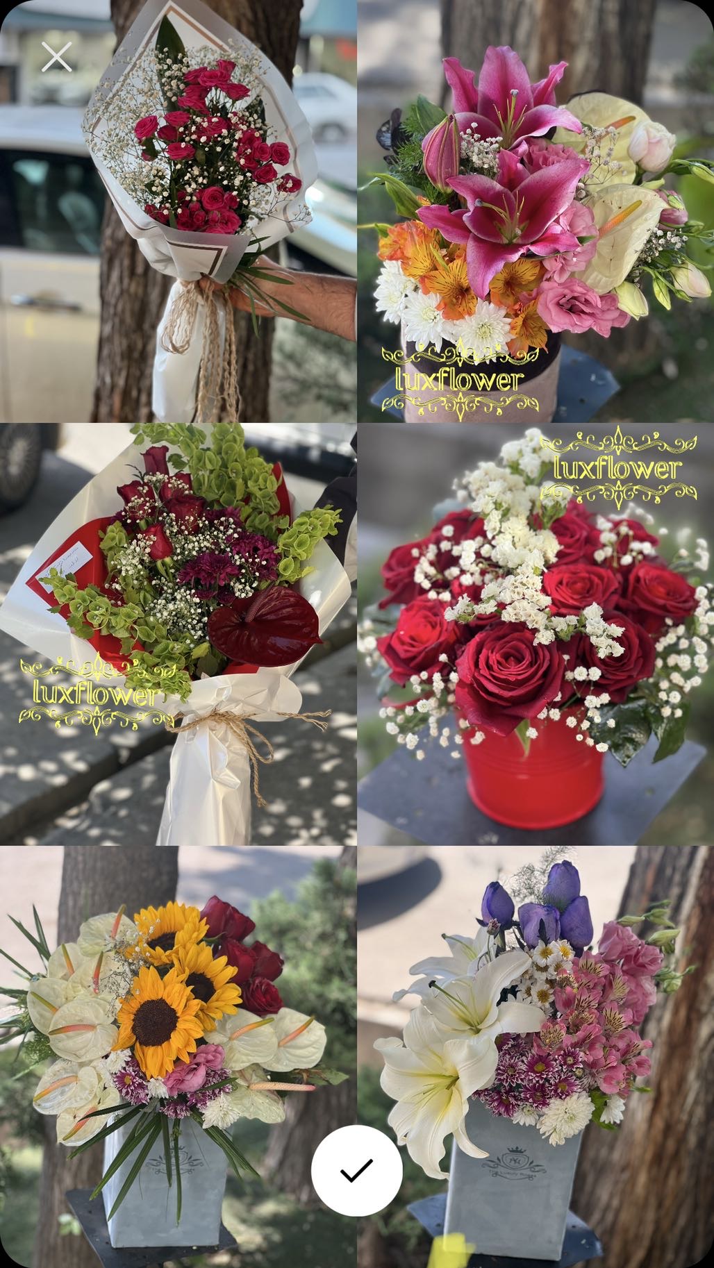 ویژه مناسبت هفته